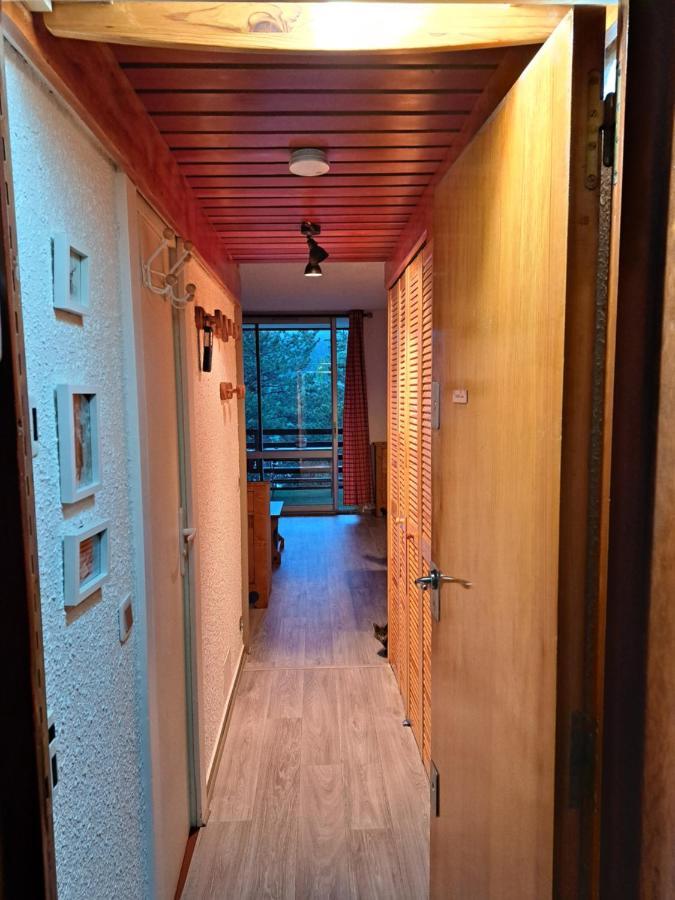 Appartement Montagnard Serre-Chevalier. Saint-Chaffrey Εξωτερικό φωτογραφία